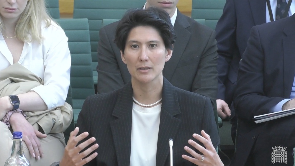 Cat Little answered questions at the Foreign Affairs Committee (House of Commons/UK Parliament/PA) (PA Wire)