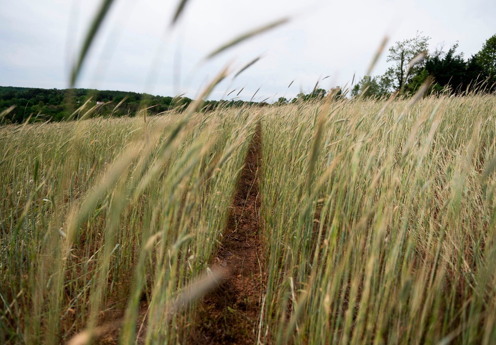 Nitrates are used as fertilizers but can become a health risk if they leak into water sources (AFP/Getty)