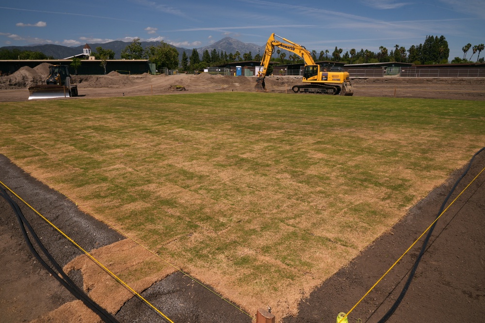 New fresh grass is grown for a world-class cricket pitch at the Pomona Fairplex (Associated Press)