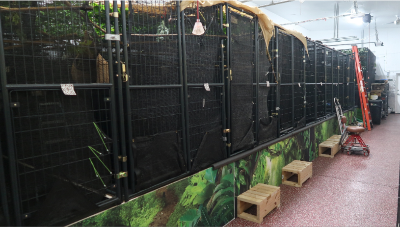 The FWC's newly released report included photos of the sloth cages found in the warehouse (FWC)