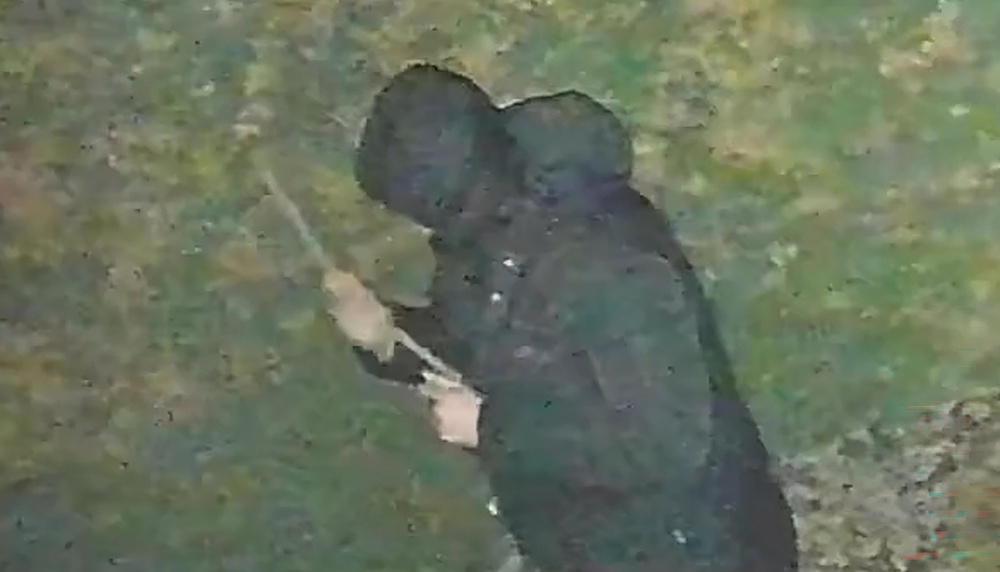 John Ashby armed himself with a stick before the attack (PA Media)