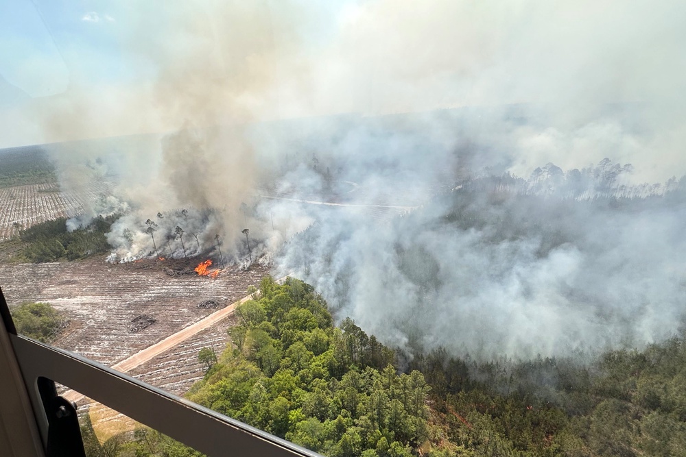 The fire was started by a foil balloon hitting live power lines (Office of Gov. Brian Kemp via AP)