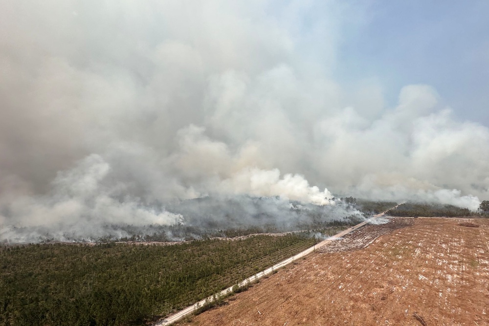 The blaze is located on Highway 82 in Brantley County, about 35 miles (56.3 kilometers) north of the Florida state line (Gov. Brian Kemp via AP)