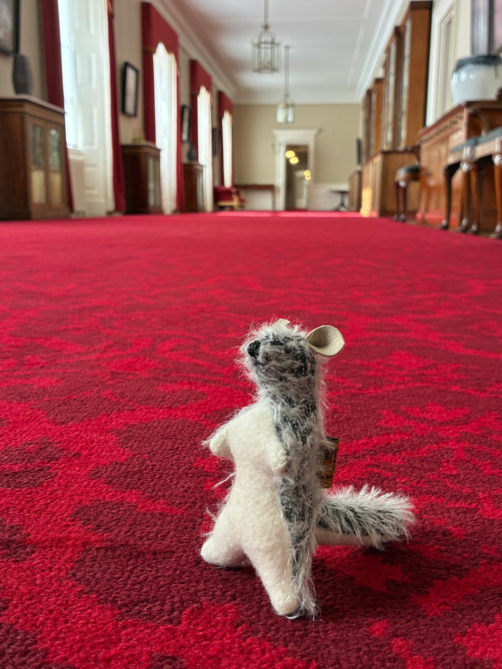 Roo at Buckingham Palace (Royal Household/PA)
