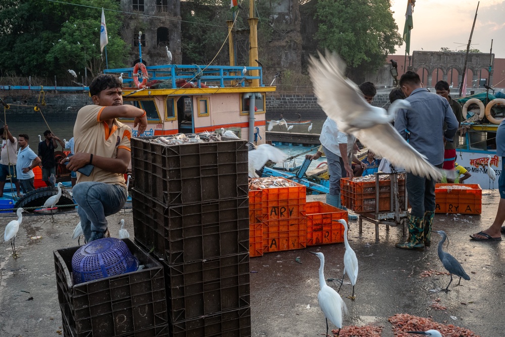 Governments had promoted cleaner fuels like LPG for health and conservation reasons, but rising costs are undermining those gains (Getty)