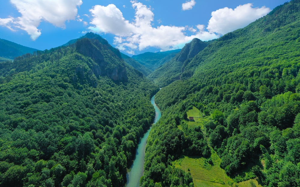 Tara river in the mountains of Montenegro (Alamy/PA)
