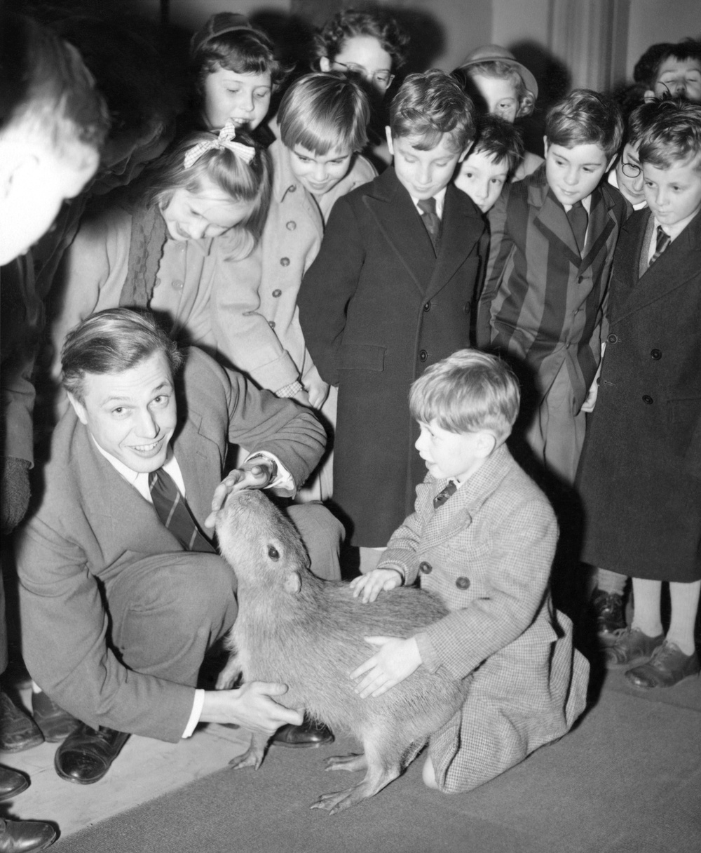 Sir David Attenborough pets a capybara surrounded by schoolchildren in 1956 (PA) (PA Archive)