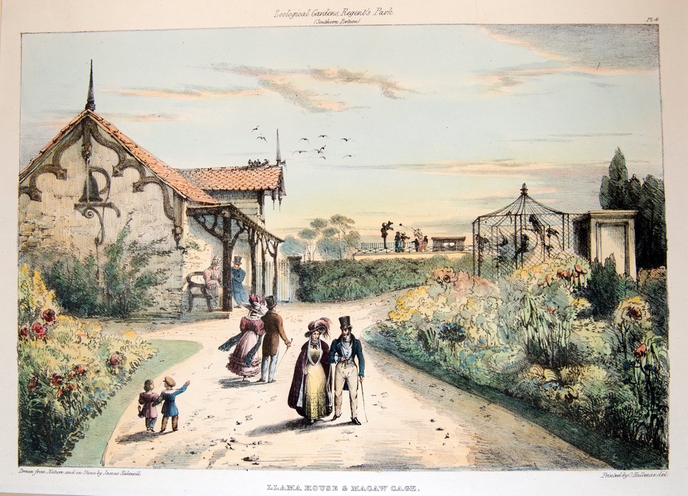 ZSL is marking 200 years since it was formed in 1826, with London Zoo – pictured here in an 1831 illustration of llama house and Macaw cage – founded in 1828 (Views of the Zoological Gardens Volume One by by Sharf and Hawkshill/PA)