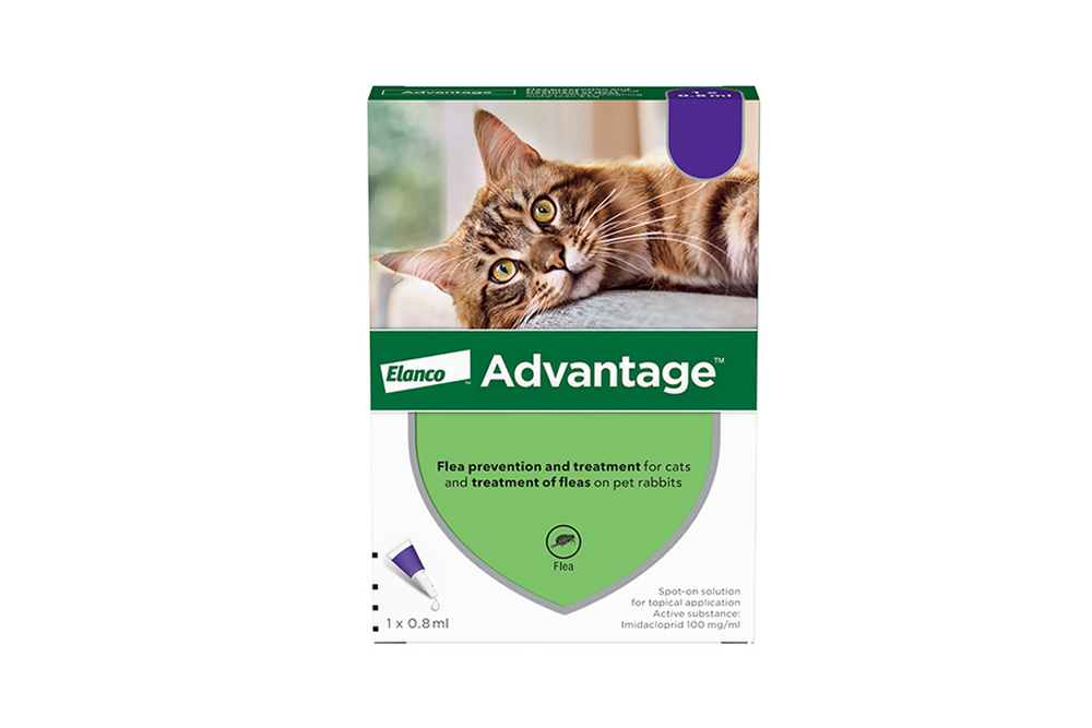 Image from: Best flea treatments for your cat, according to vets