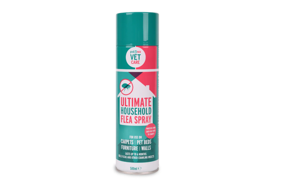 Image from: Best flea treatments for your cat, according to vets