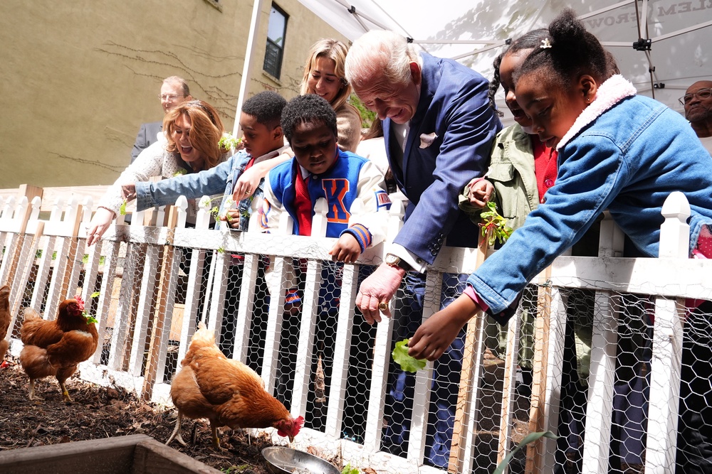 The King helps feed chickens during a visit to Harlem Grown, a local community organisation and after-school initiative (Aaron Chown/PA) (PA Wire)