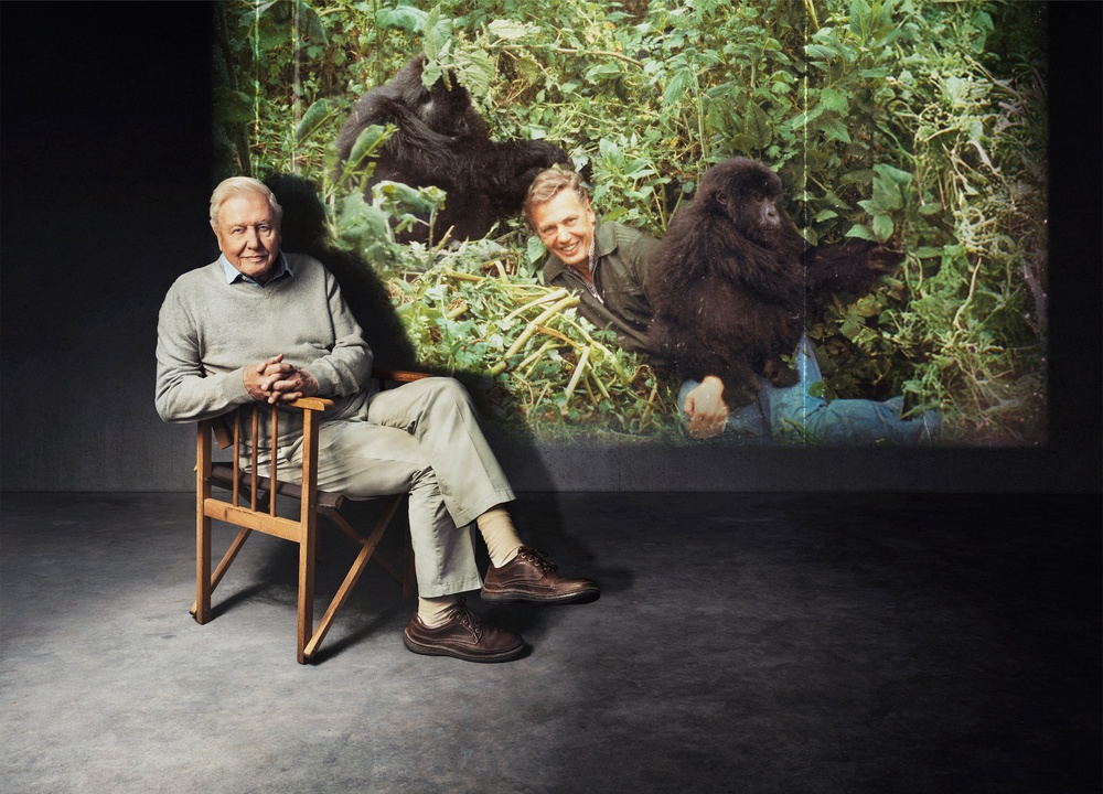 David Attenborough opens up about making 'Life on Earth' in a new BBC documentary (PA)