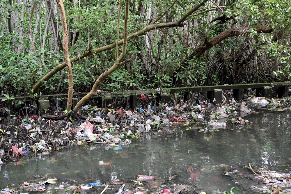Trash cover mangroves in Denpasar area of Bali (AFP via Getty)