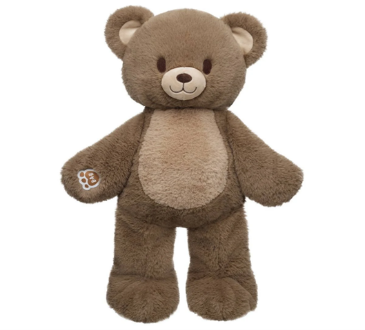 The recalled Heartwarming Hugs Bears were sold from January 2026 through March 2026 by Build-A-Bear Workshop (United States Consumer Product Safety Commission)