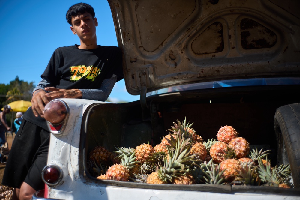 A pineapple vendor waits for customers at a weekly food fair in Alamar, Havana province, Cuba, Saturday, May 2, 2026. (AP Photo/Ramon Espinosa) (AP)