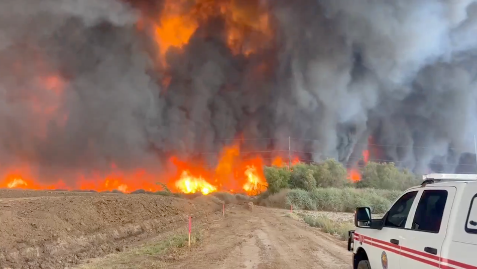 The Hazen Fire in Maricopa County on Sunday afternoon. (Arizona Dept. Forestry and Fire Management)