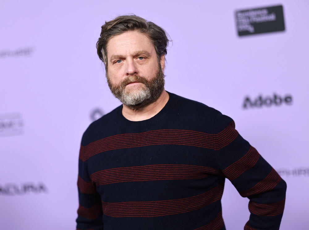 Galifianakis said the role of a comedian is to 'challenge' (Getty Images)
