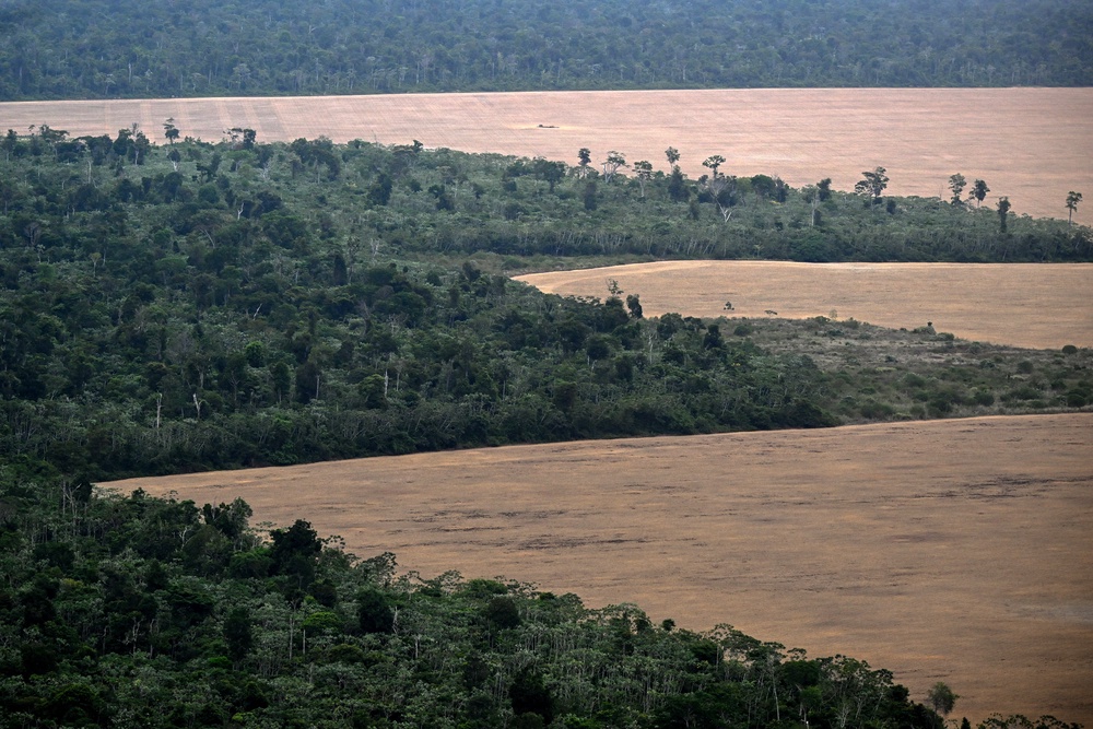 In 2023, Amazon Conservation teamed up with Earth Genome and the Pulitzer Center to develop the Amazon Mining Watch, a platform that uses satellite imagery to track mining across the Amazon since 2018 (AFP/Getty)
