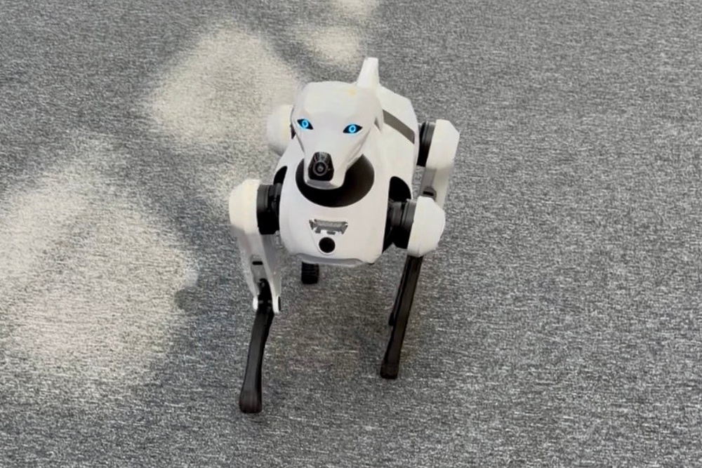 AiMoga's robot dog called Argos could be used for deliveries where wheeled robots couldn't get (Steve Fowler)