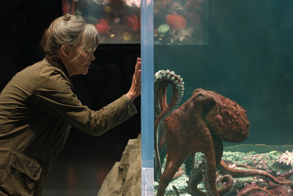 Sally Field (and an octopus) in ‘Remarkably Bright Creatures’ (Netflix)