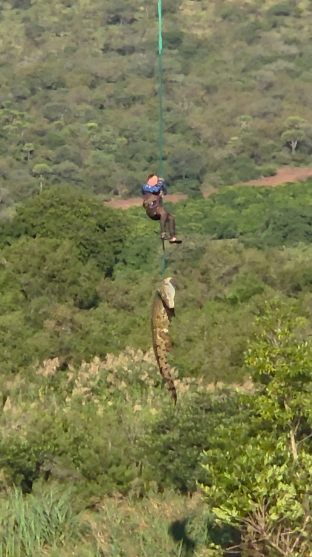 A South African police officer is airlifted while removing a euthanised crocodile (Reuters)