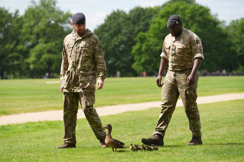 Members of the King’s Troop Royal Horse Artillery guiding a duck and ducklings away from the area ahead of the gun salute (Lucy North/PA) (PA Wire)