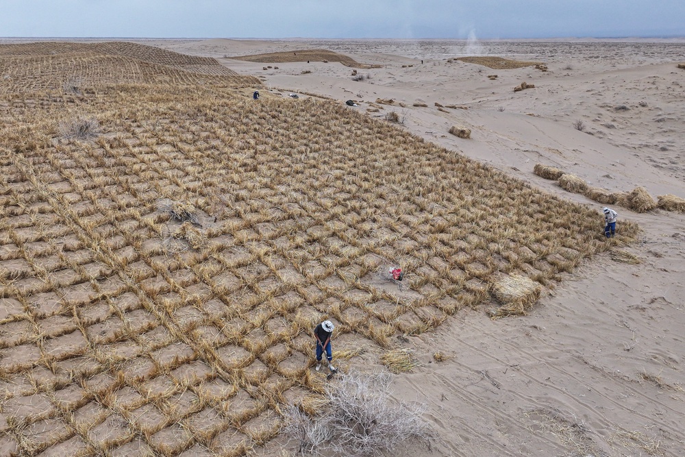 Measures to tackle desertification require funding to roll out. Here, workers set up straw barriers on sand dunes at a desertification control area in China’s northwestern Gansu province (AFP/Getty)