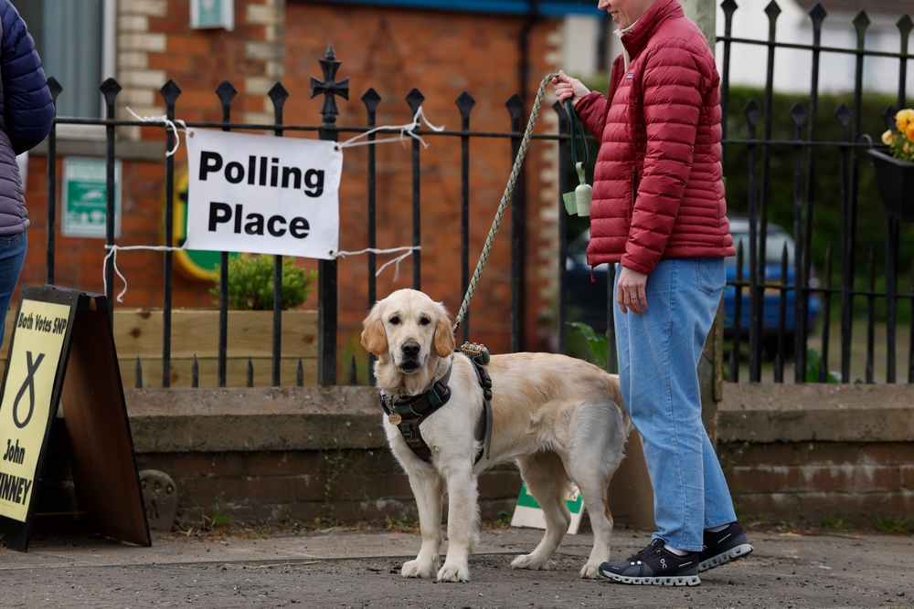 A well-behaved hound caught the phoographer’s eye in Burrelton (Getty)
