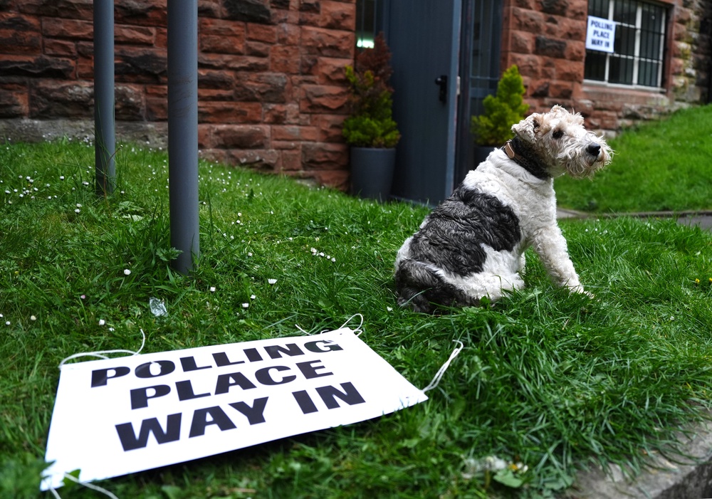 Lotte the wire fox terrier awaits her owner outside Pollokshields Burgh Hall, Glasgow (Andrew Milligan/PA) (PA Wire)