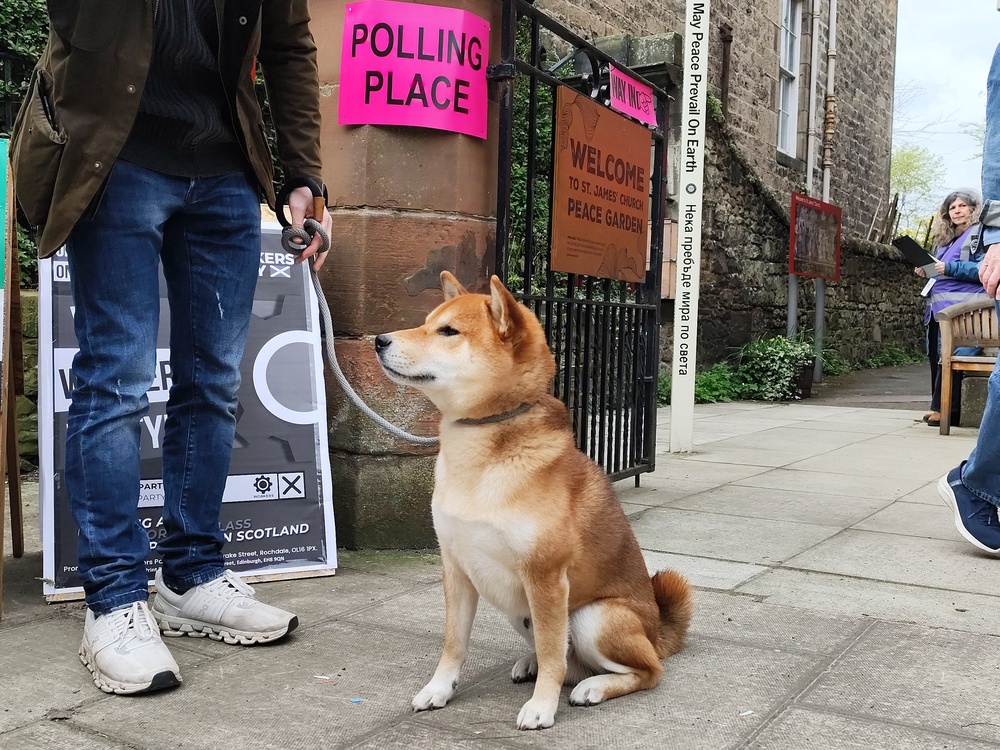 A dog named Obi-Wan Kenobi outside the St James Church polling station in Edinburgh (Nick Forbes/PA) (PA Wire)