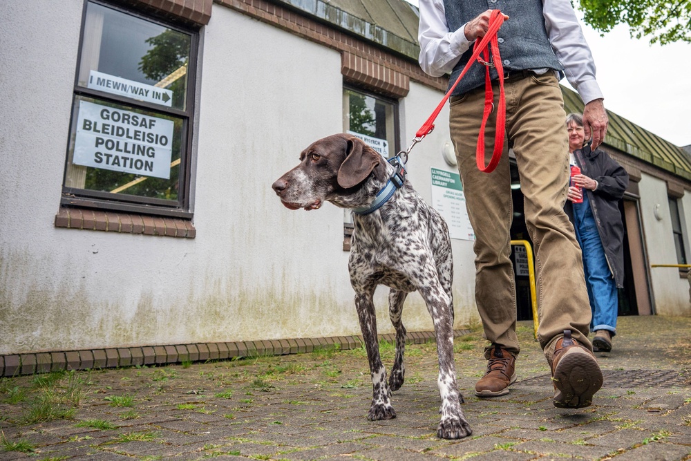 A voter brings his dog to a polling station during the Senedd elections in Caernarfon (AFP/Getty)
