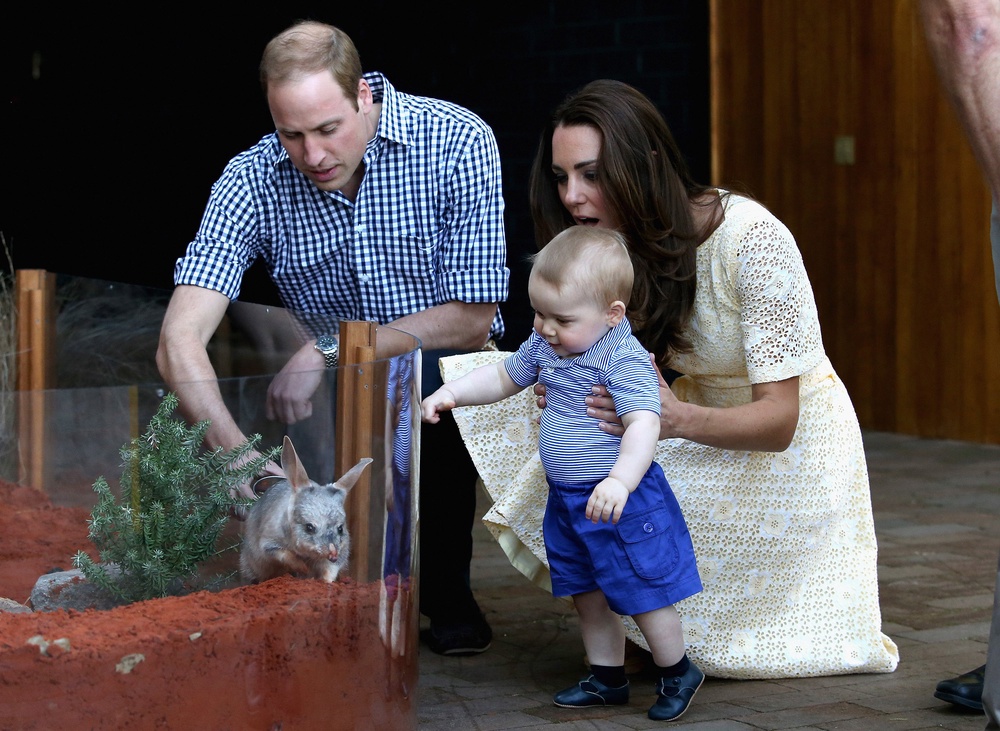 Prince George meeting a bilby called George at Taronga Zoo in Sydney, Australia in 2014 (Chris Jackson/PA) (PA Archive)