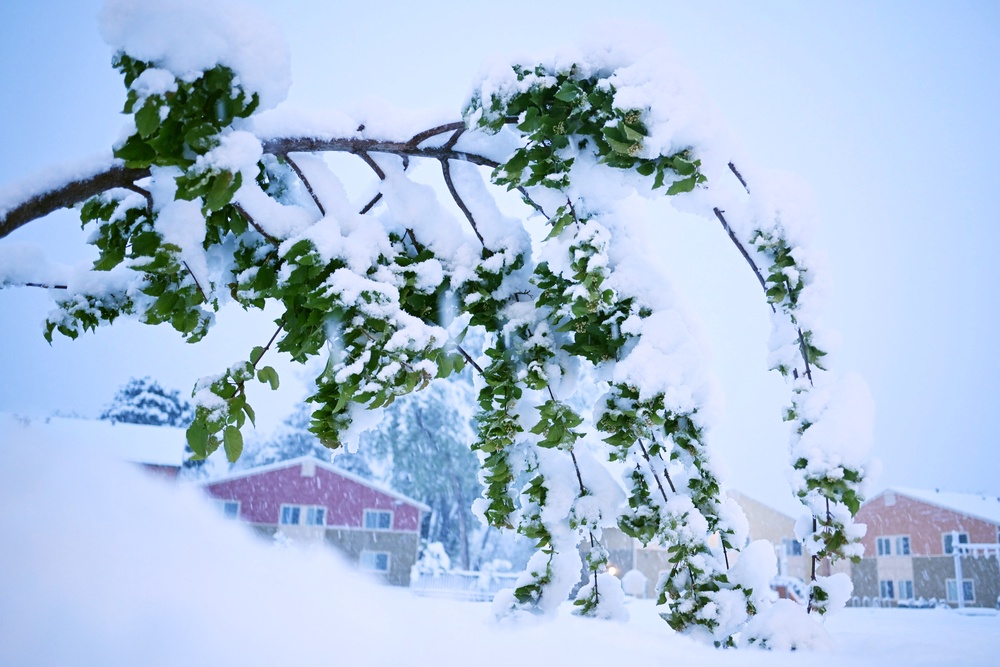 By April 1, 18 monitoring stations recorded zero snow water equivalent in Colorado for the first time in more than 50 years of data (Getty)