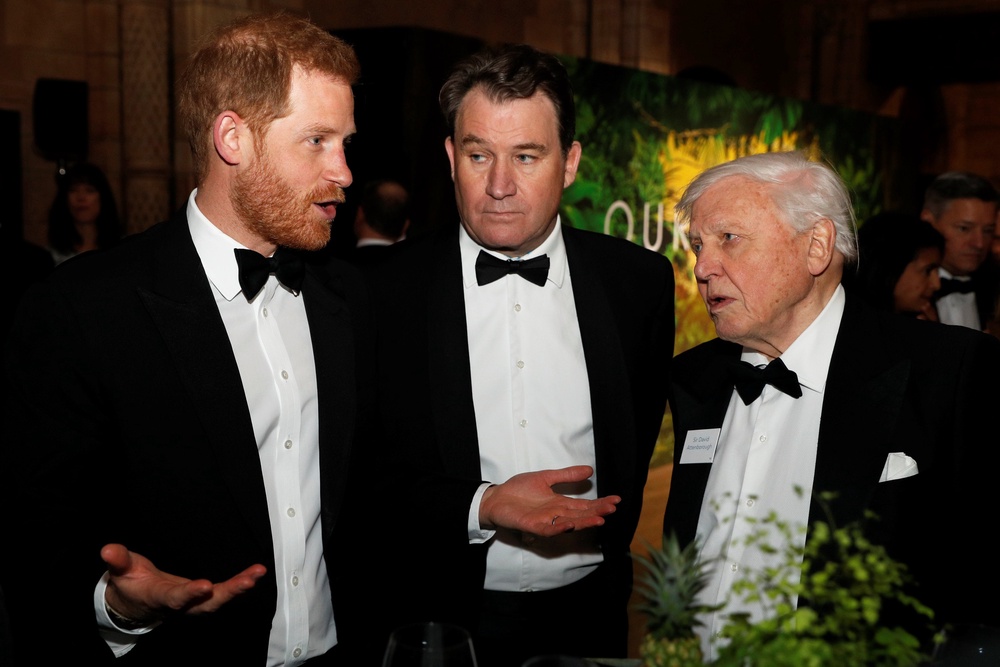 Harry and Sir David Attenborough at the premiere of Netflix’s Our Planet in 2019 (John Sibley/PA) (PA Archive)