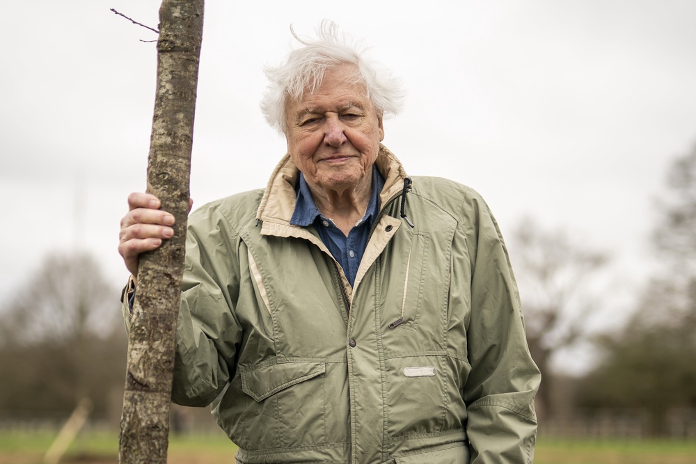 Sir David Attenborough celebrates his 100th birthday on Friday (Aaron Chown/PA) (PA Archive)