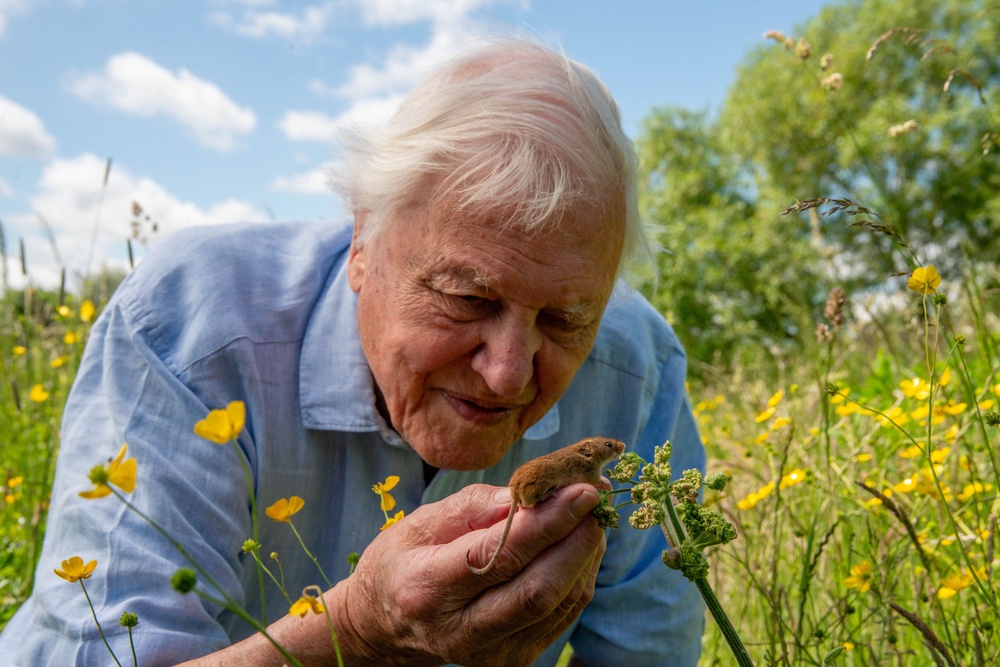 Sir David Attenborough's one hundred birthday (PA)