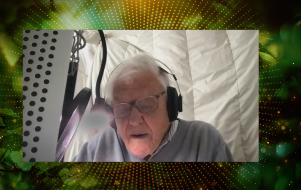 Sir David Attenborough providing the voiceover for 'Planet Earth 3' (BBC)