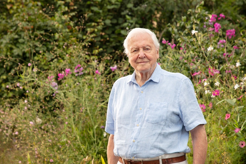 Sir David Attenborough has been recognised for his nature documentary Secret Garden (PA Media)