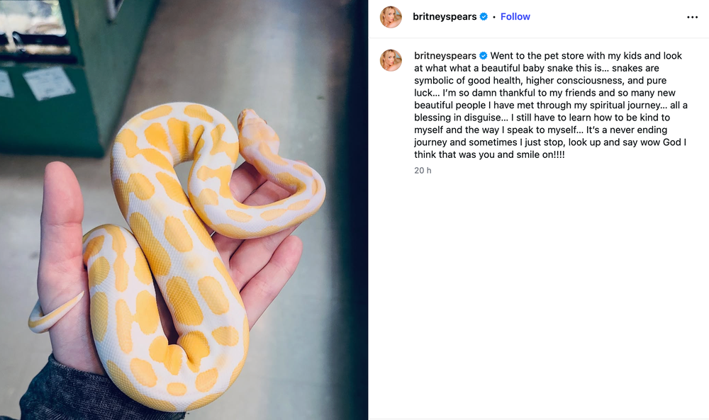‘Toxic’ singer said she has been on a ‘spiritual journey’ in a post shared less than a week after she pleaded guilty to a DUI charge (Instagram via @britneyspears)