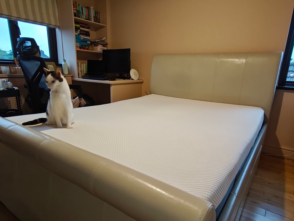 This mattress provides good support for side sleepers (Holly Hathaway/The Independent)