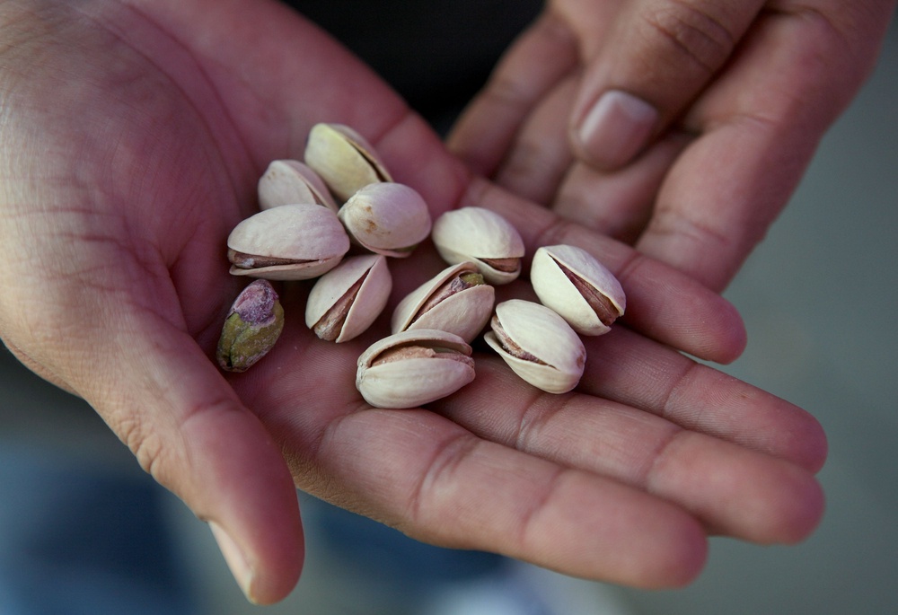 An ounce of pistachios have as much protein as an egg (Getty)