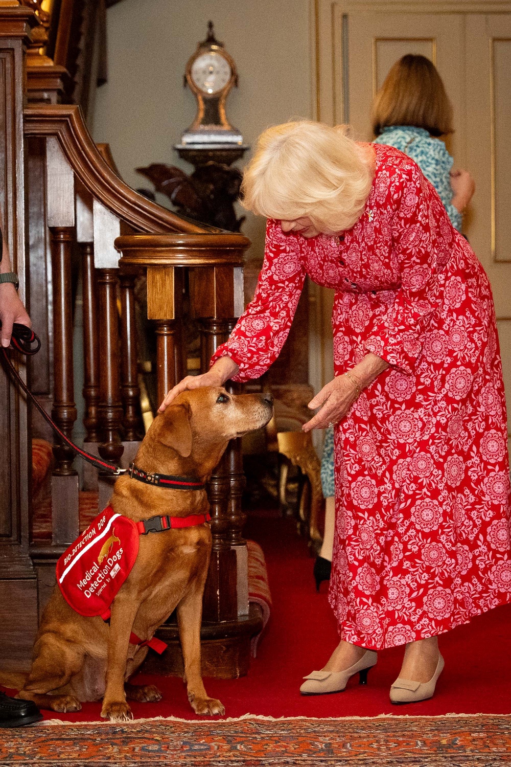 Camilla meets Floren the fox red Labrador (Aaron Chown/PA) (PA Wire)