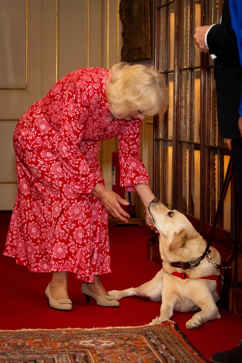 Camilla has been patron of the Medical Detection Dogs charity since 2014 (Aaron Chown/PA) (PA Wire)