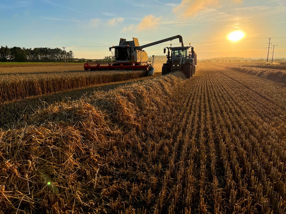 Greenpeace has called on the government to support British farmers to cut pesticide use (Getty Images)