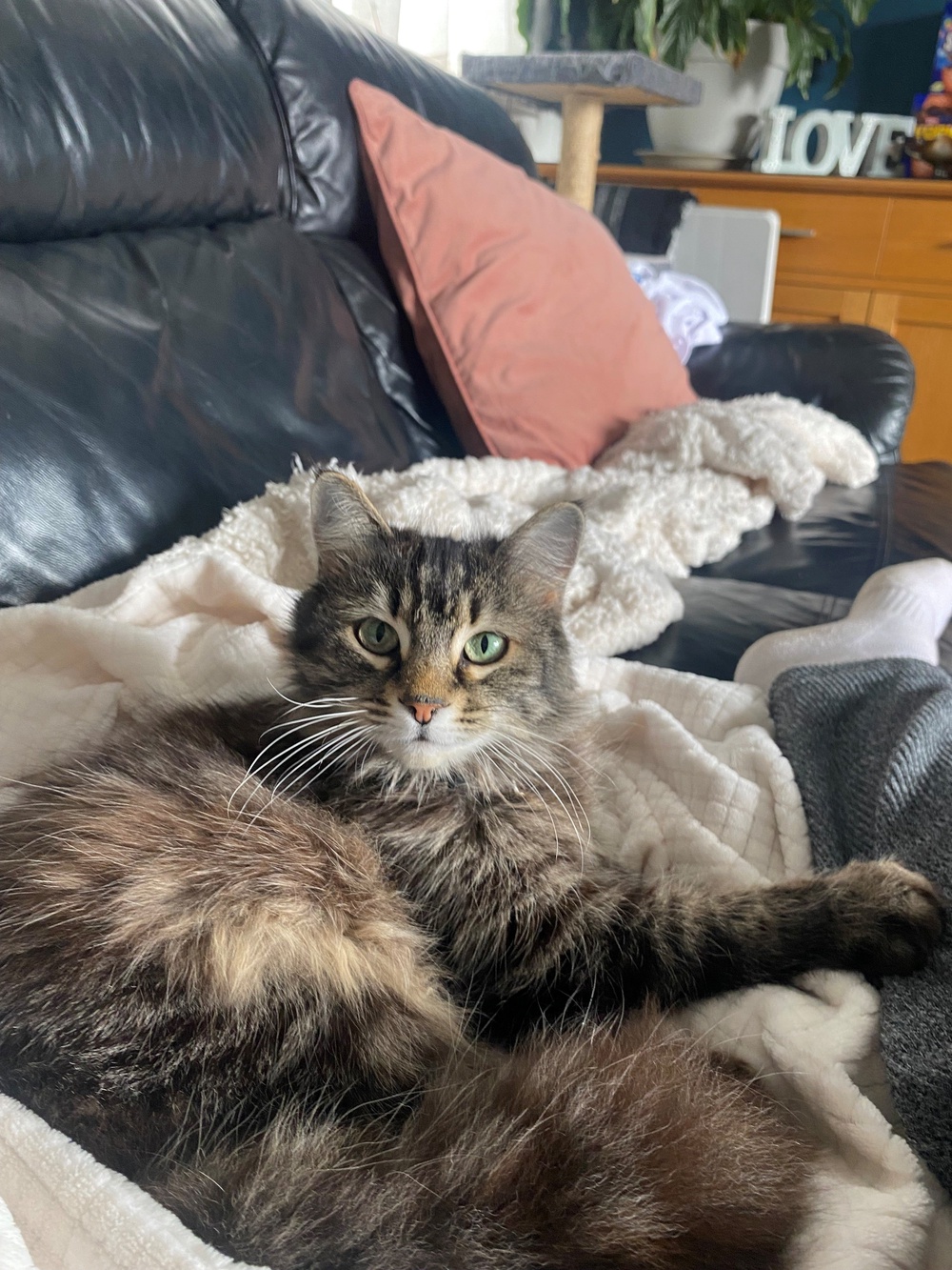 Nora is now back in the comfort of her own home (PA)
