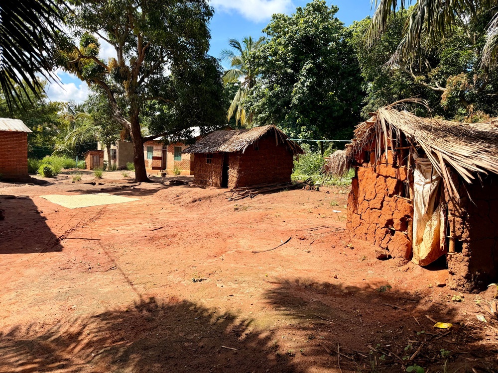 Typical houses in Zombo Village, Ulaya Area Programme (Nick Ferris)