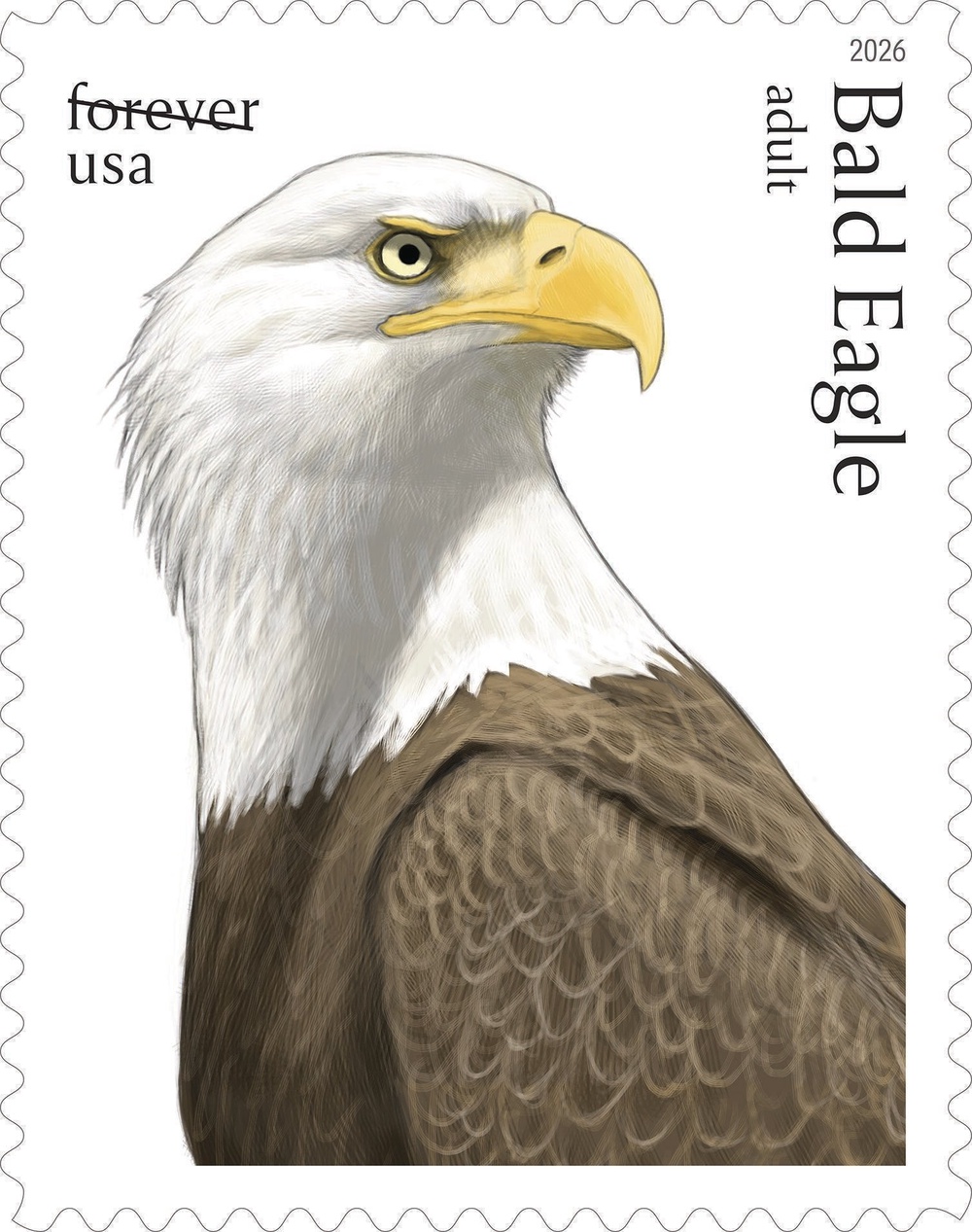 The bald eagle has been a national emblem since Congress adopted the Great Seal in 1782 (United States Postal Service via AP)