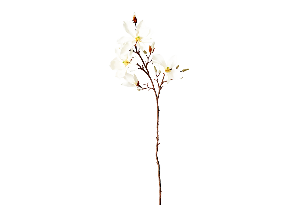 Image from: 8 best artificial flowers that look like the real deal