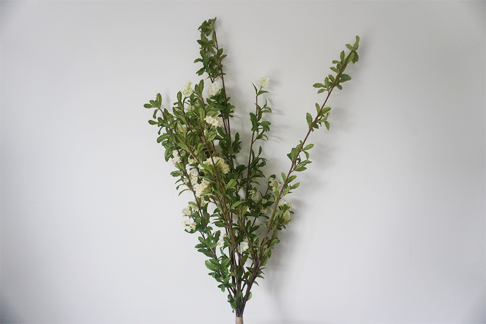The stems are a lofty 102cm in height (Eve Smallman/The Independent)