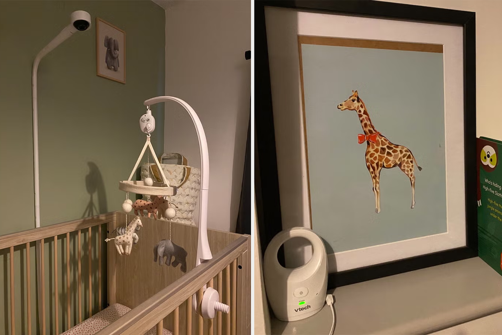 My tester slept on the job while I assessed each monitor (Rebecca Moore/The Independent)